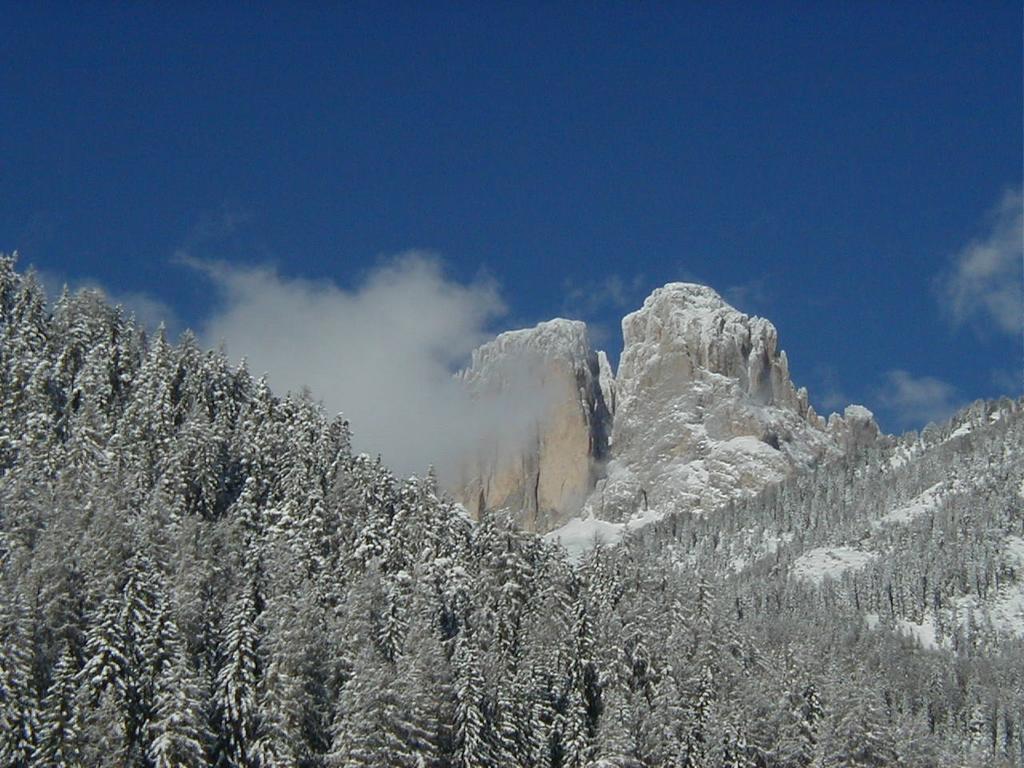Appartamento Col Rodella Campitello di Fassa Camera foto